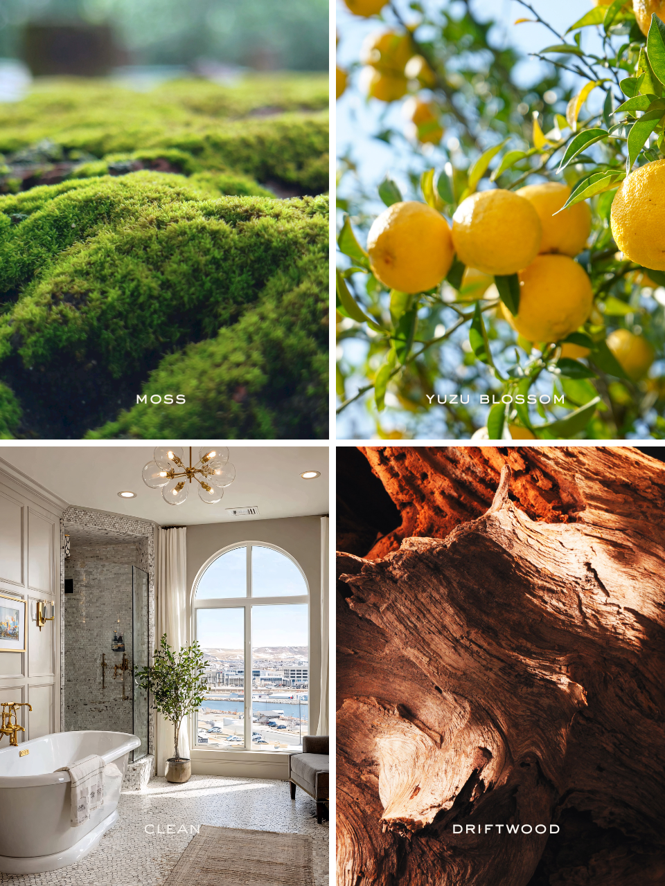 Time Alone |  The Aroma Collection