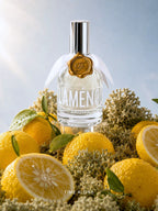Time Alone- 100ml Aroma Mist