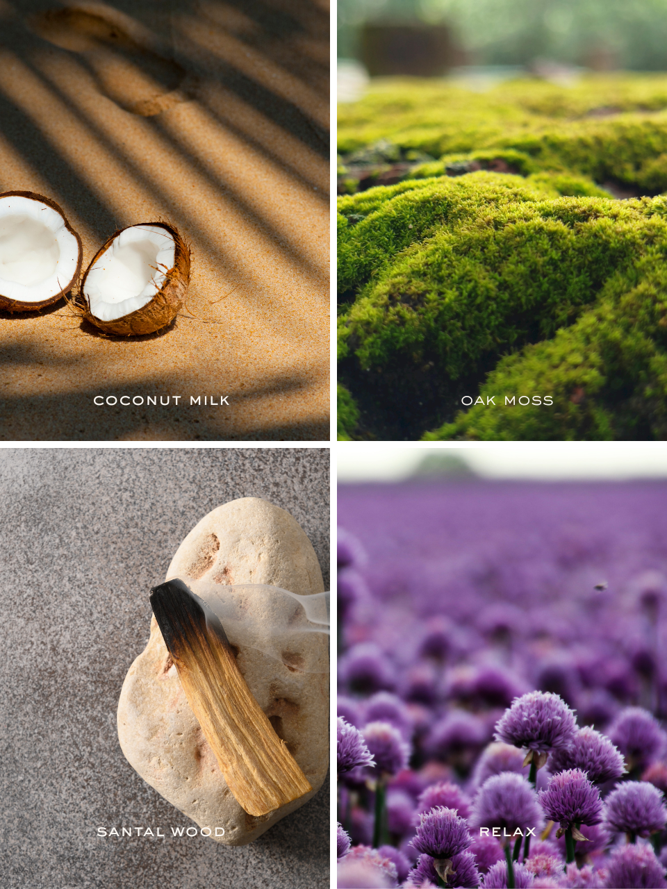 5oz. Santal & Solitude