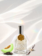 Melon Noire- 100ml Aroma Mist