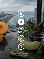 Melon Noire- 100ml Aroma Mist