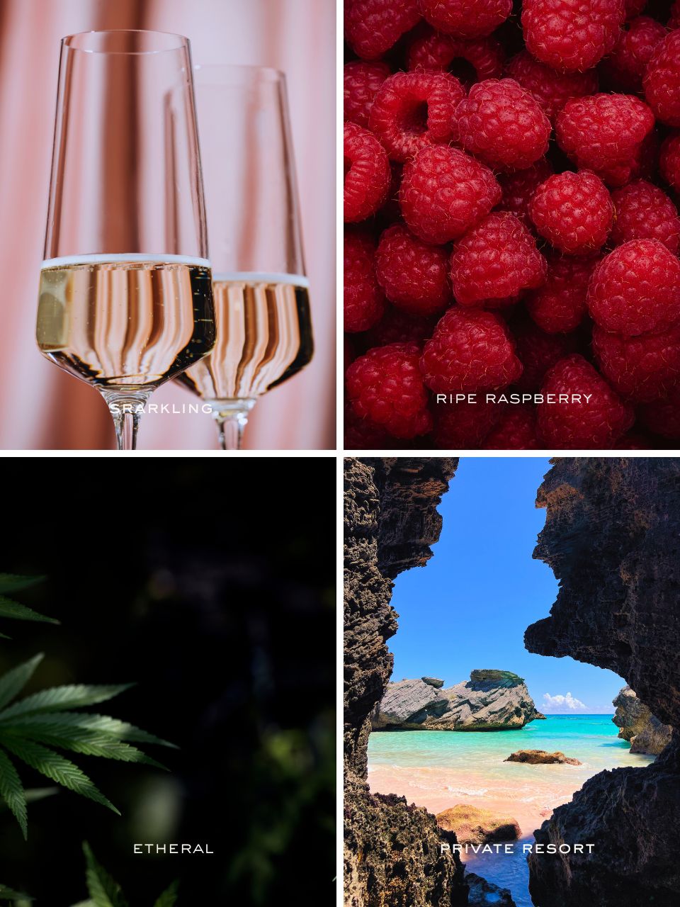 High Society- Coconut Soy Wax Candle